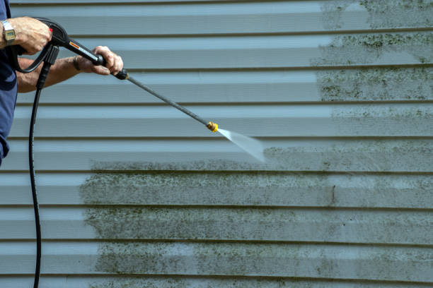 Best Roof Cleaning and Mildew Removal in Kemah, TX
